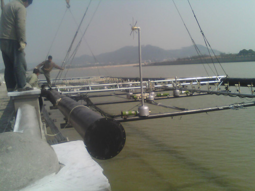 ���̬F(xi��n)������