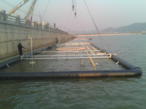 ���̬F(xi��n)������