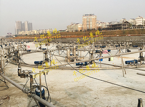 ���̬F(xi��n)��(ch��ng)����